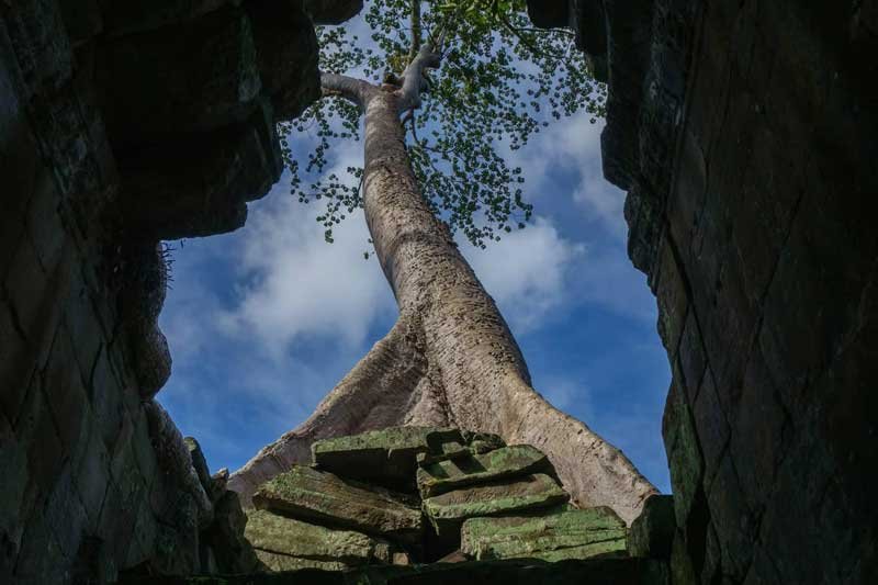 Biking Angkor Wat & Bayon the Smiling Temple
